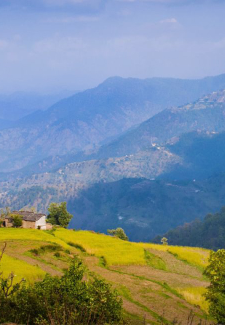 Almora Travel Guide