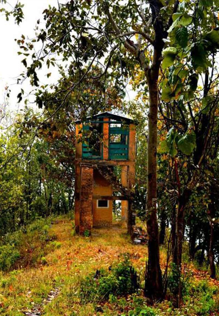 Corbett National Park Photos