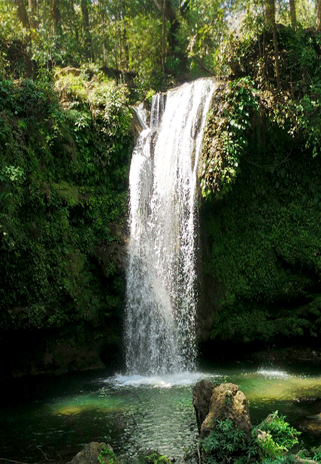 Corbett National Park Photos