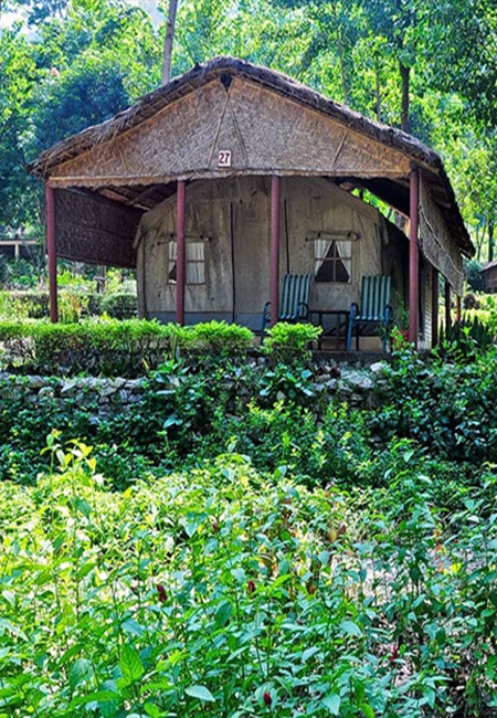 Corbett National Park Photos